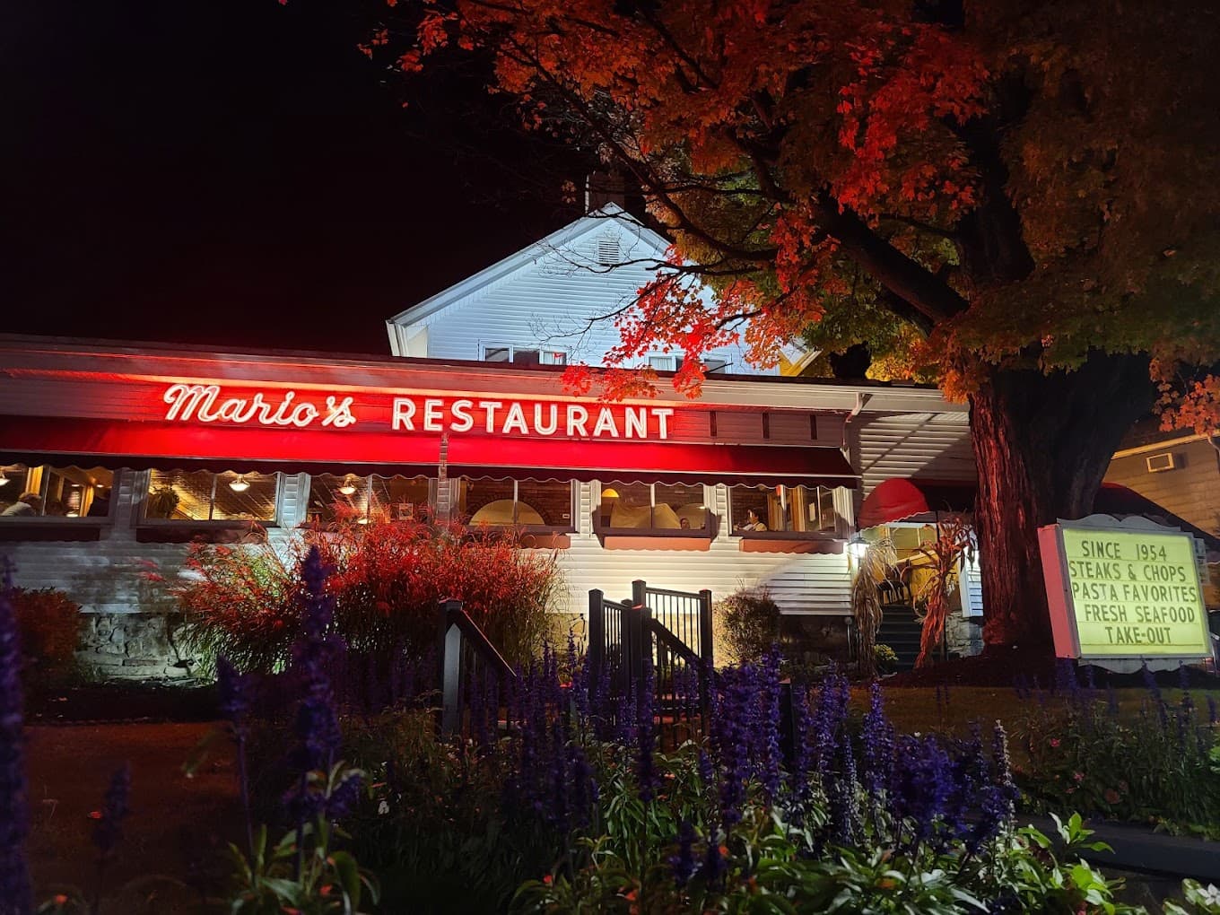 Mario's Restaurant lit up at night beneath an autumn maple tree